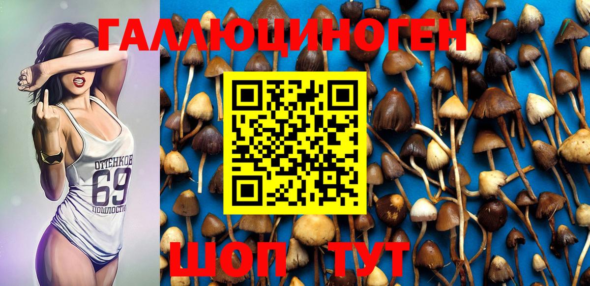 Галлюциногенные грибы Psilocybe Татарск