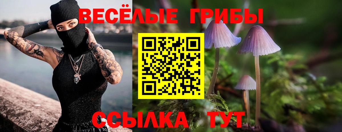 Татарск  сколько стоит  Вход с VPN  Галлюциногенные грибы MAGIC MUSHROOMS 